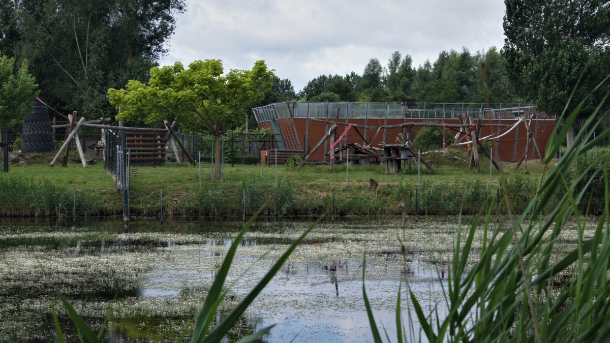 Zomerfestival op Stadslandgoed De Kemphaan