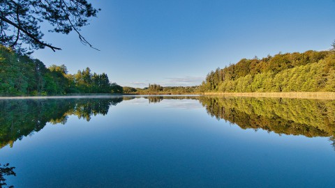 Provincie Flevoland zorgt voor primeur