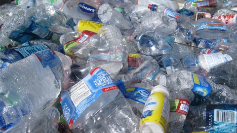 Plastic etende bacteriën passen zich aan