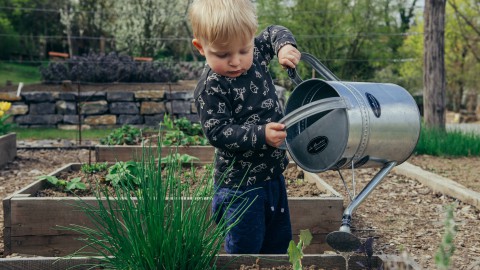 Wroetend in de aarde leren over voedsel en ecosystemen