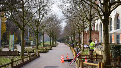 Verbreding van de Hogering bereikt het laagste punt