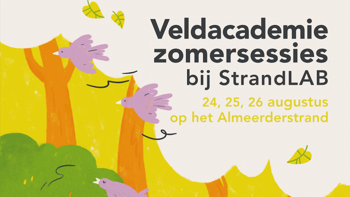 Kom jij ook naar de Veldacademie Zomersessies?