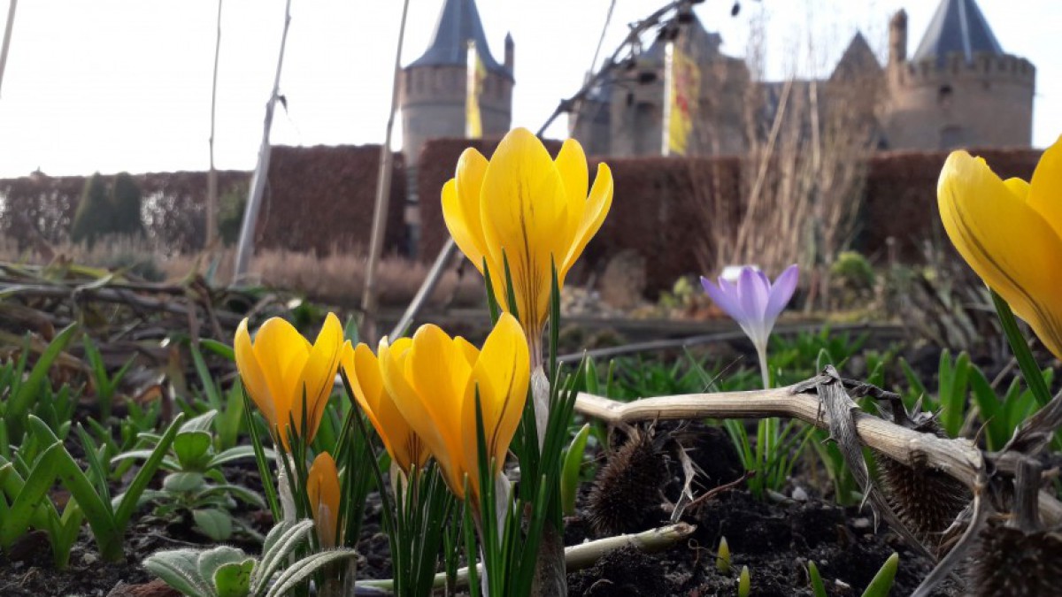 Voorjaarsvakantie bij Rijksmuseum Muiderslot