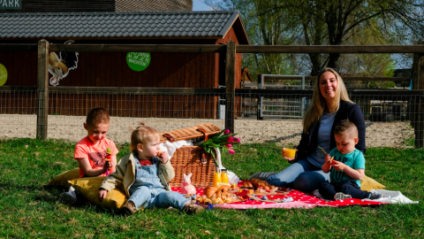 Moederdagpicknick tussen de dieren