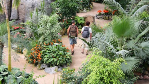 Liefde voor planten met Melissa Nijdam