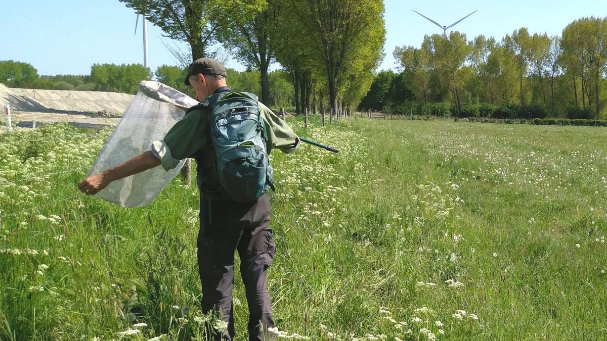 Boeren versterken biodiversiteit met biologische coöperatie Odin