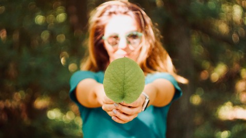 Flevolandse scholen starten met jongerenprogramma Talent kleurt Flevoland