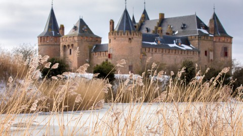 Rijksmuseum Muiderslot heropent met bomvol programma