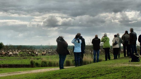 Wandeling Zeearendroute Oostvaardersplassen