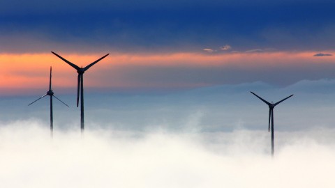 Windmolens gevaarlijker voor vogels dan gedacht