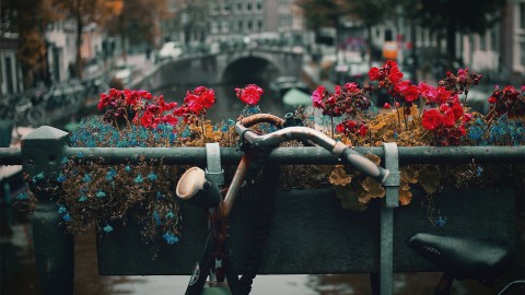 Telefoongebruik op fiets vanaf morgen verboden