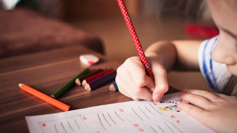 Aantal aanmeldingen voor Zomerschool loopt storm  