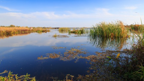 Onderzoeksalternatieven waterverbinding Oostvaardersoevers ter inzage