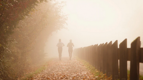 Het is vandaag de warmste 2 november ooit 