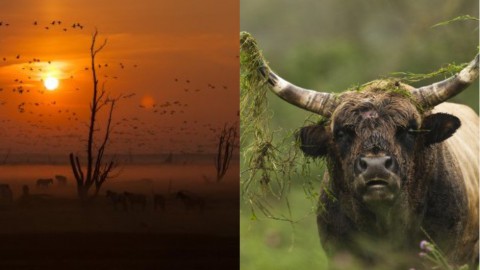 Oktober Wandelmaand in nationaal park Nieuw Land 