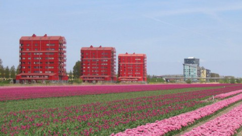 Architectuurprijs Almere 2018 vrijdag bekend