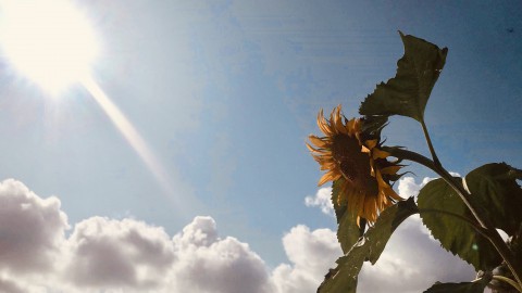 Veel zon en warm. Zomer stevig in het zadel.