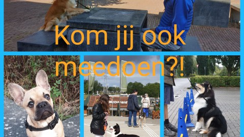 Kom jij ook meedoen?