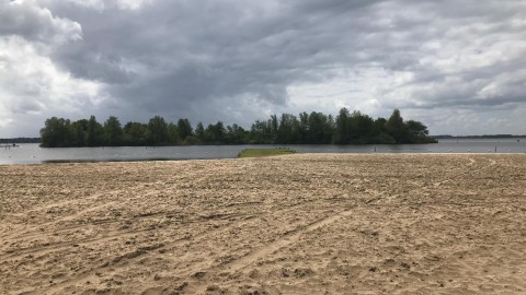 Stadsgesprek over de toekomstige groene stad en ecologie