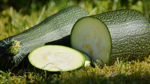 ‘Killer courgette’ in moestuinen