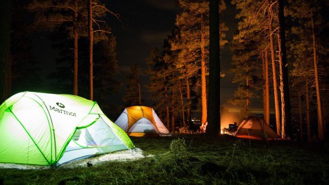 De Buurtcamping komt deze zomer naar Beatrixpark!