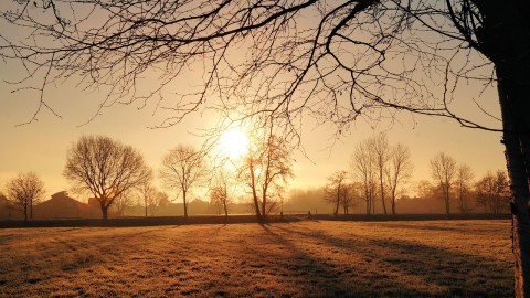 Eerste weerrecord van 2020: warmste 8 januari ooit 