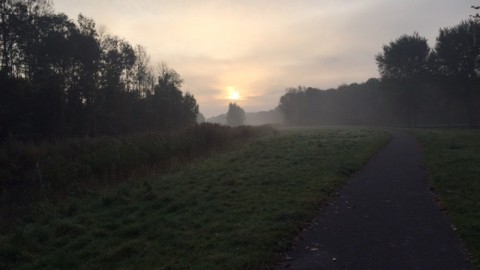 Overwegend droog met afwisseling van zon en wolken.