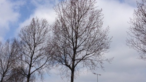 Tweede Paasdag: Vrij koud met wolkenvelden en af en toe zon.