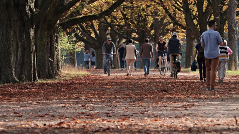 Flevolandse politie bekeurt gemiddeld 167 fietsers per maand