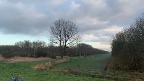 wolkenvelden met af en toe wat zon.