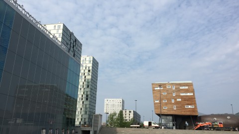 Moederdag: Eerst zon en zacht, later beduidend koeler met veel wind.