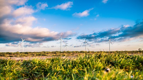 Raad van State beoordeelt bezwaren tegen Windplan Groen