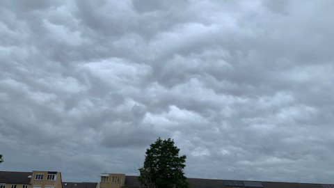 Overwegend bewolkt met kans op regen en onweer.