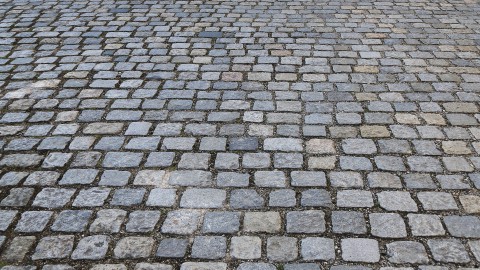 Oude tegels ruilen voor plantje in Almere