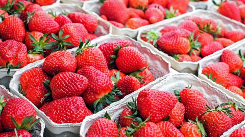 Haal verse producten op de markt in de stad