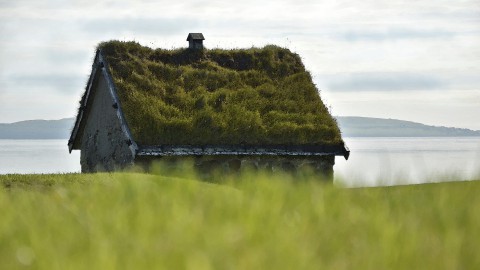 Subsidie voor vergroenen daken en gevels