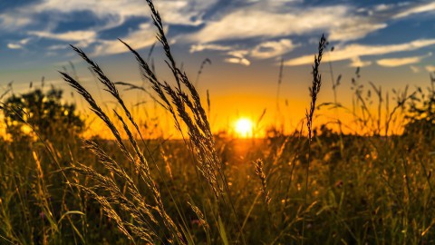 Gezamenlijk onderzoek door Rijk, regio en netbeheerder naar zonne-energie A6