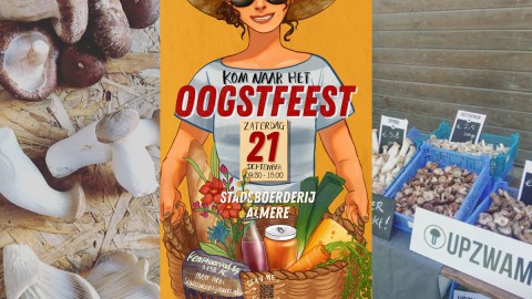 Upzwam staat op het Oogstfeest!